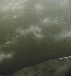 Backdrop48.jpg.jpg